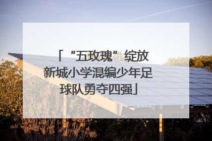 “五玫瑰”绽放 新城小学混编少年足球队勇夺四强